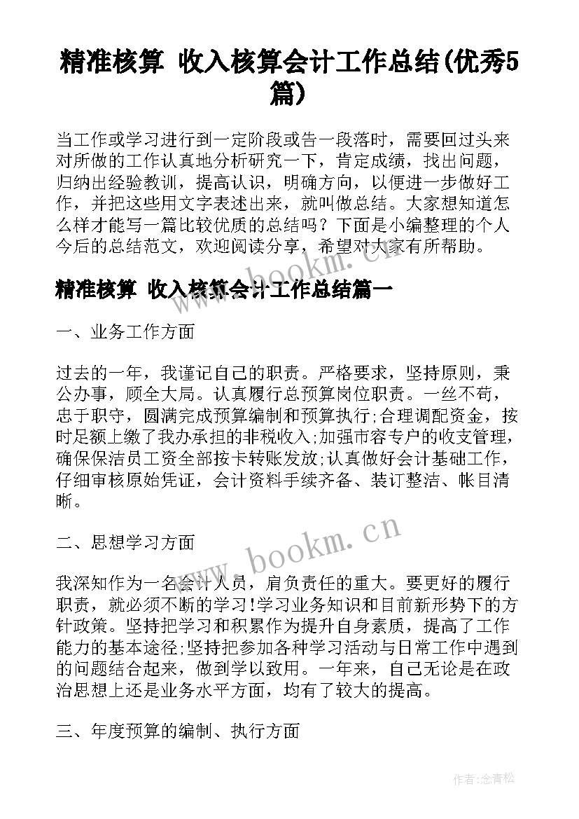 精准核算 收入核算会计工作总结(优秀5篇)