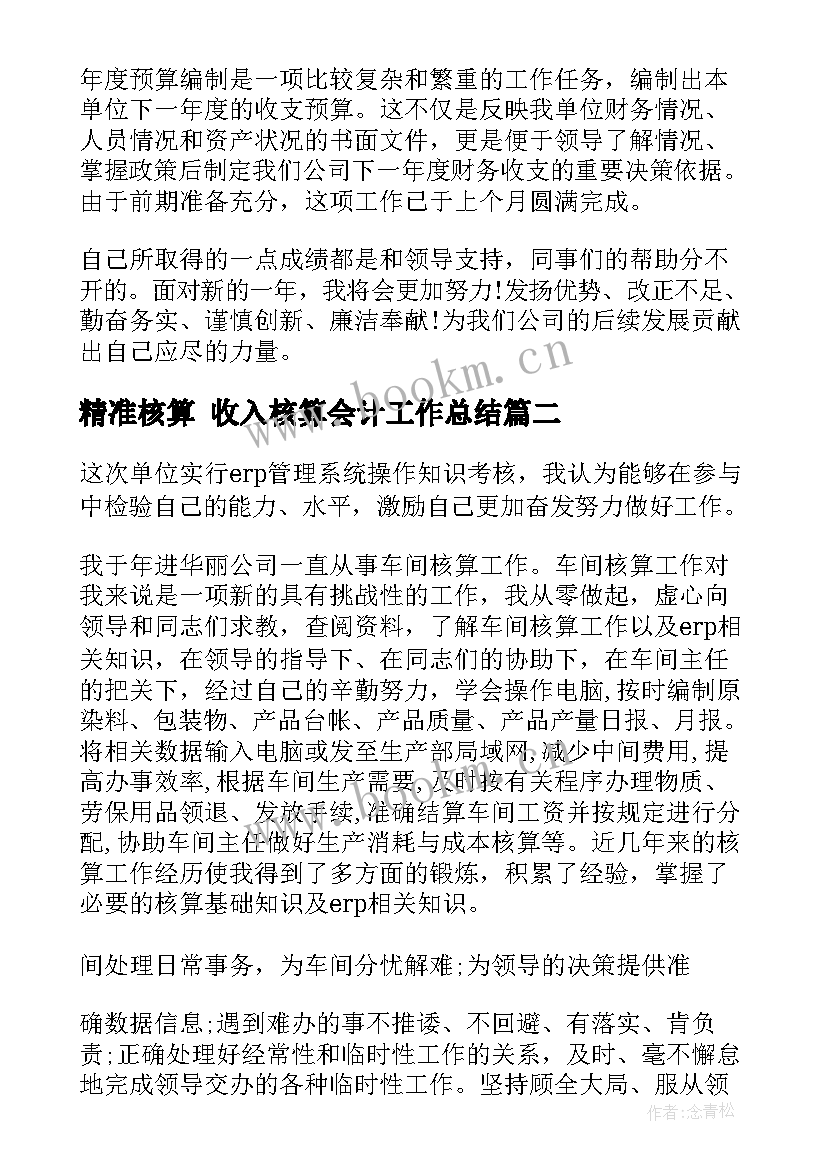 精准核算 收入核算会计工作总结(优秀5篇)