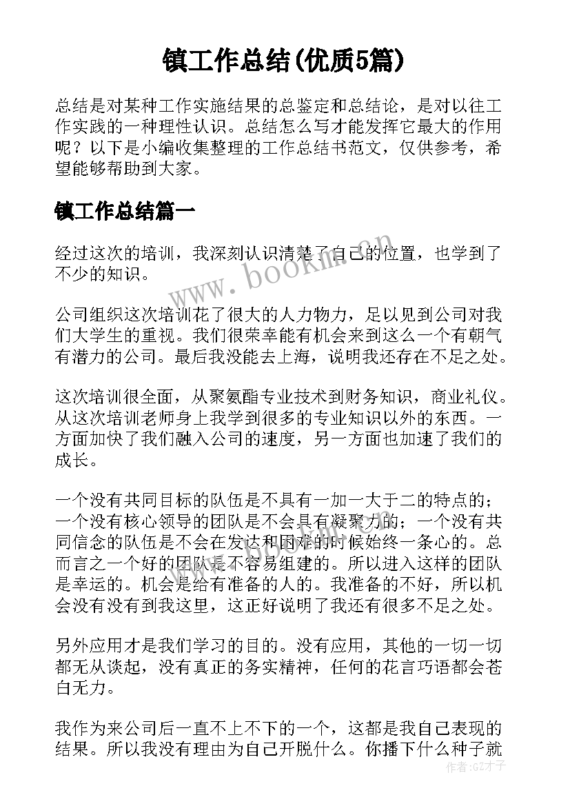 镇工作总结(优质5篇)