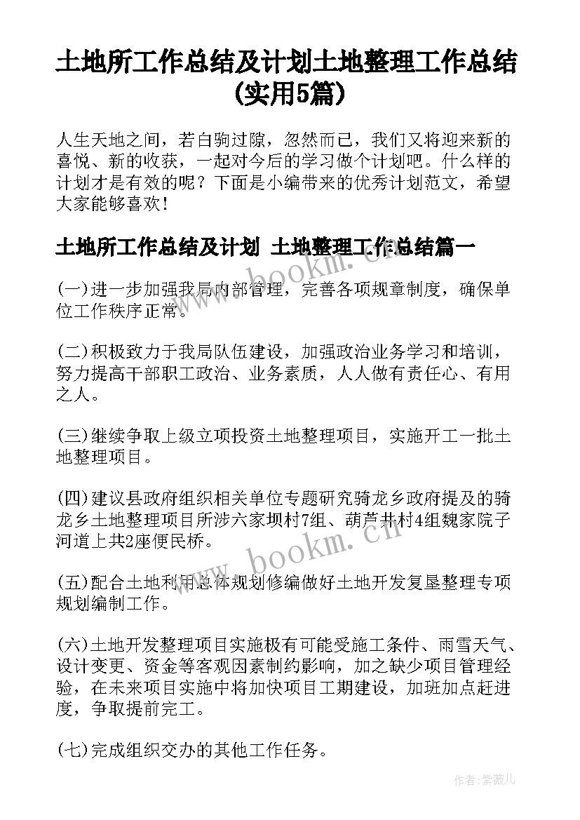 土地所工作总结及计划 土地整理工作总结(实用5篇)