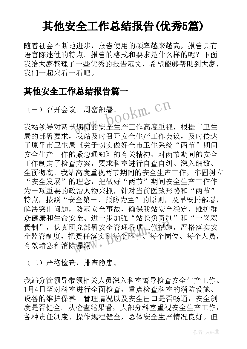 其他安全工作总结报告(优秀5篇)