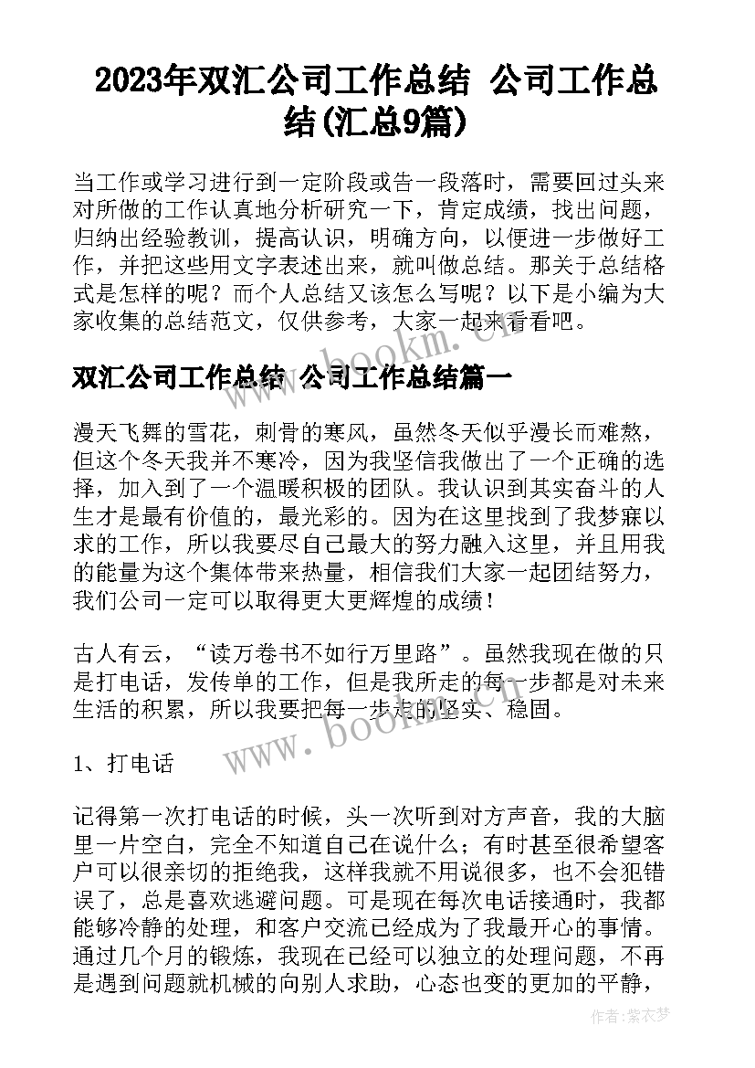 2023年双汇公司工作总结 公司工作总结(汇总9篇)