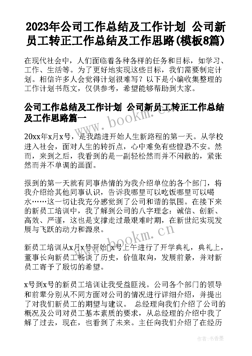 2023年公司工作总结及工作计划 公司新员工转正工作总结及工作思路(模板8篇)