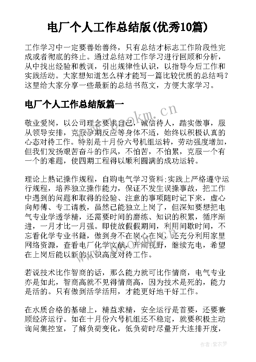 电厂个人工作总结版(优秀10篇)