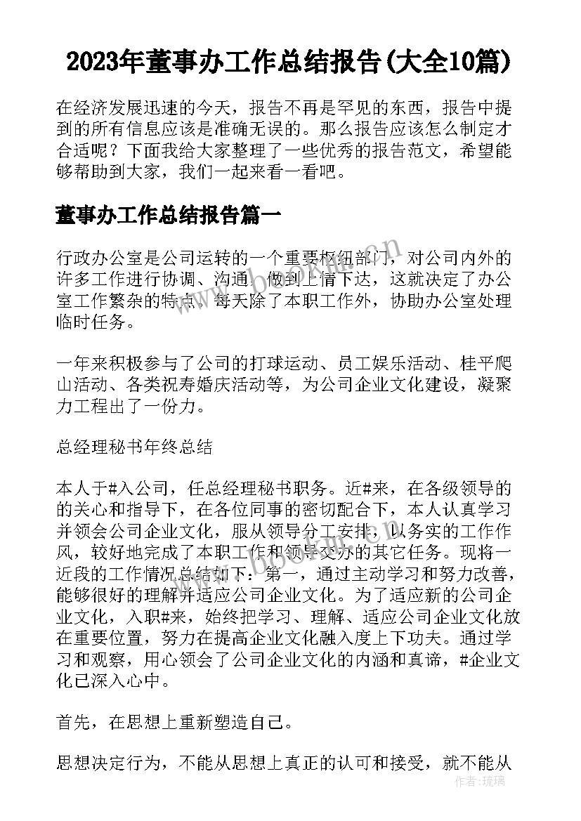 2023年董事办工作总结报告(大全10篇)