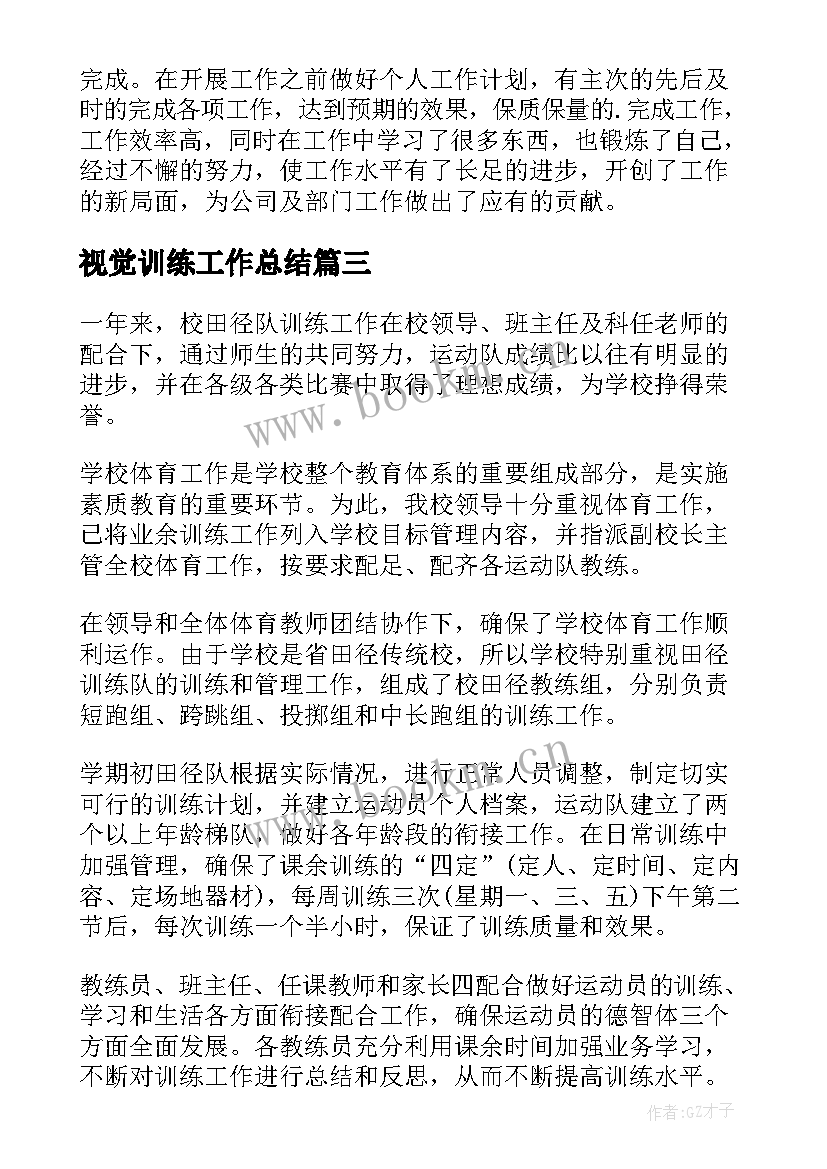 2023年视觉训练工作总结(通用5篇)