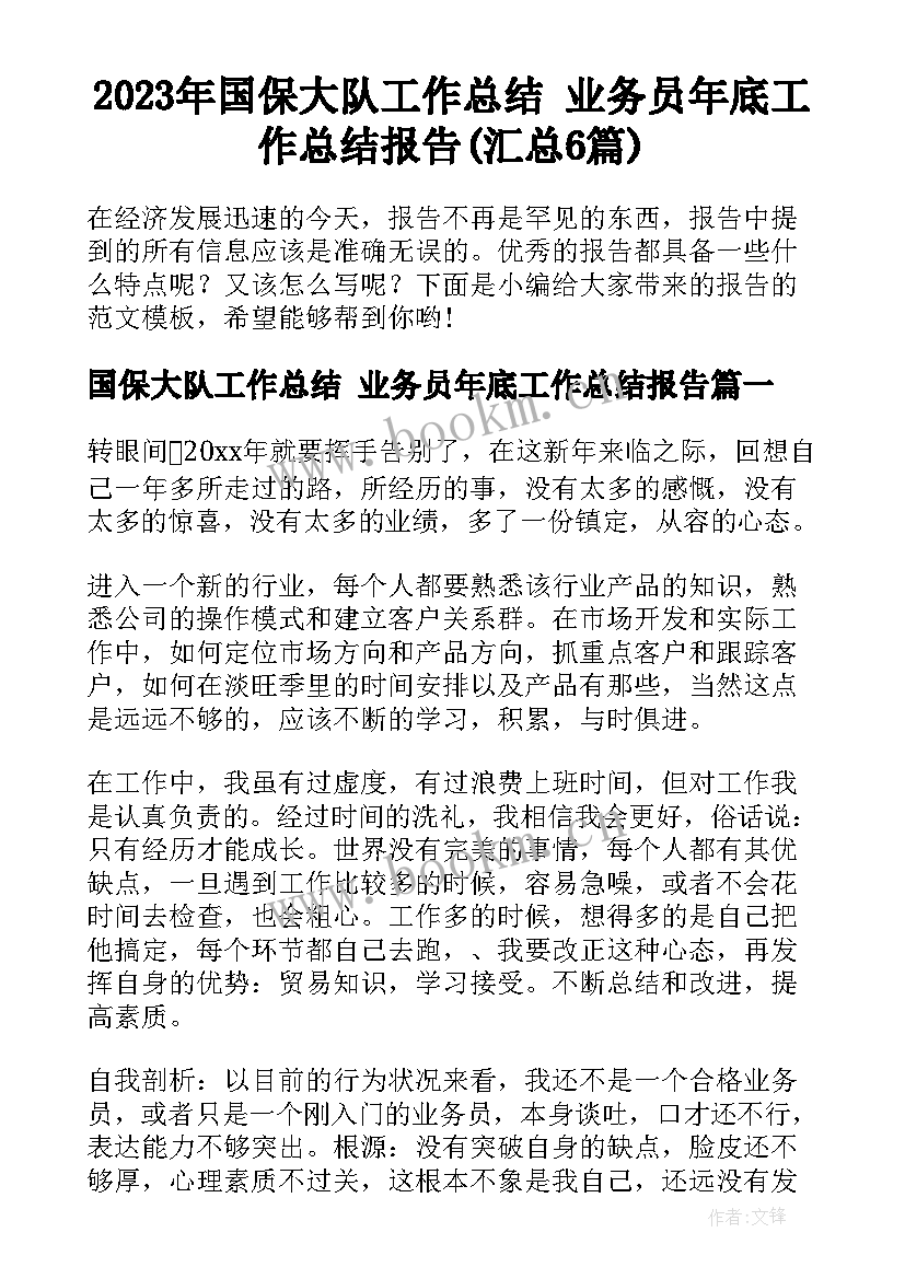 2023年国保大队工作总结 业务员年底工作总结报告(汇总6篇)