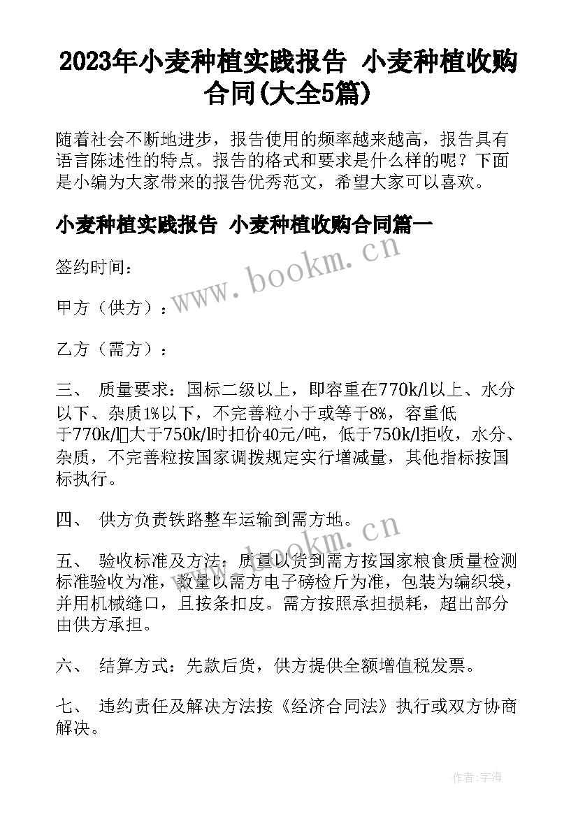 2023年小麦种植实践报告 小麦种植收购合同(大全5篇)