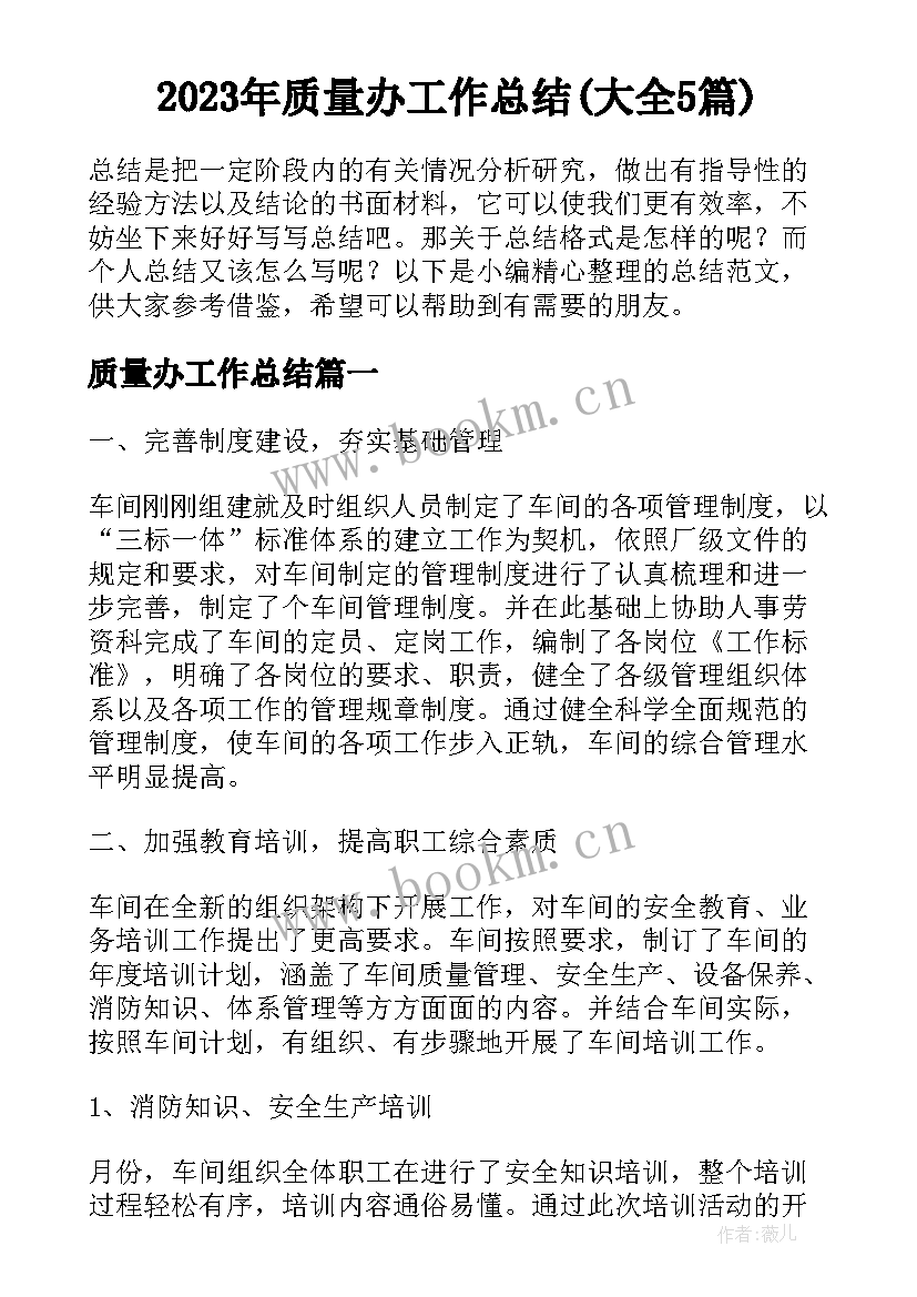 2023年质量办工作总结(大全5篇)