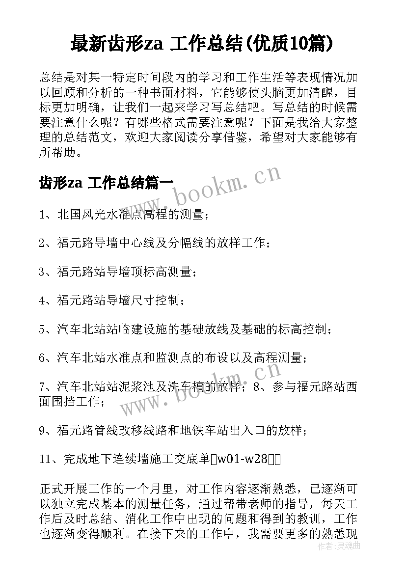 最新齿形za 工作总结(优质10篇)