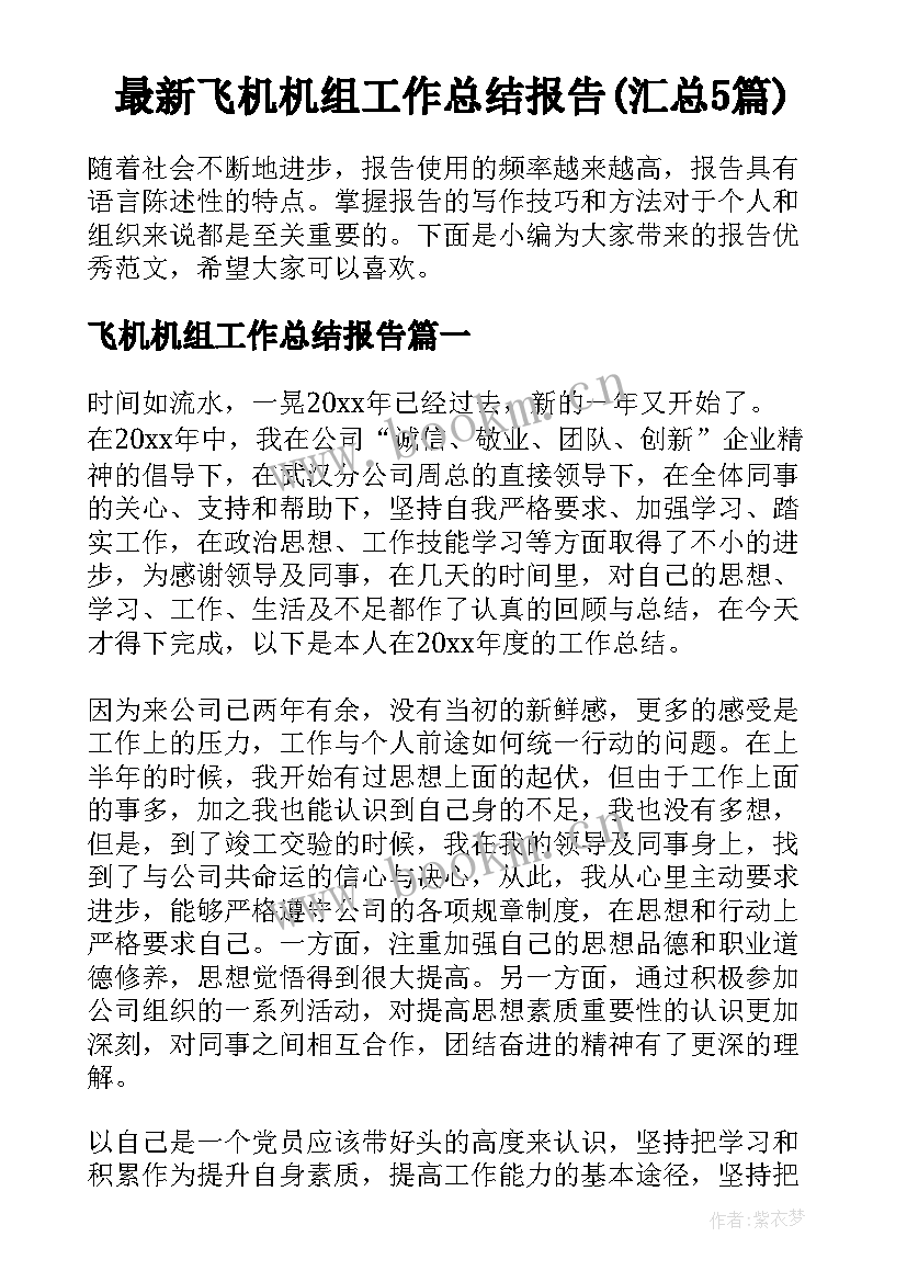 最新飞机机组工作总结报告(汇总5篇)