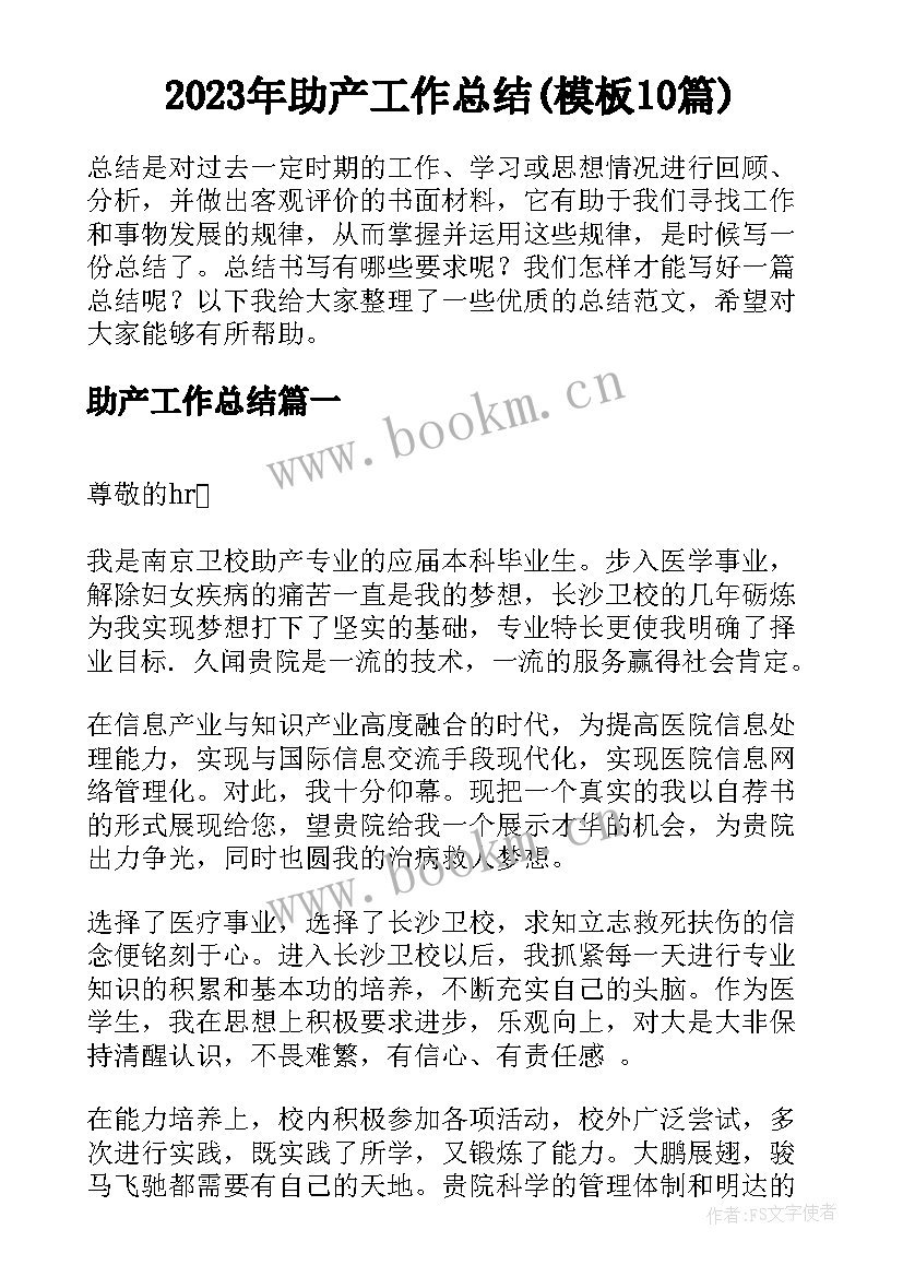 2023年助产工作总结(模板10篇)