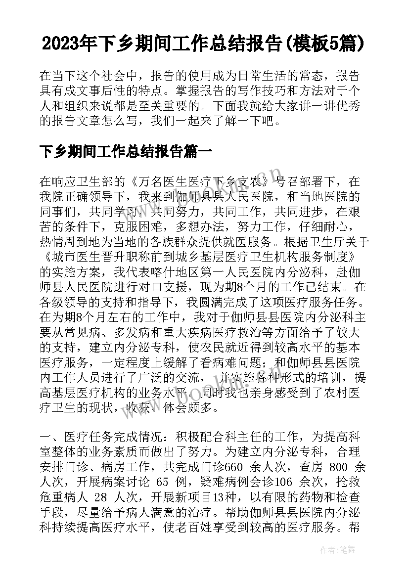 2023年下乡期间工作总结报告(模板5篇)