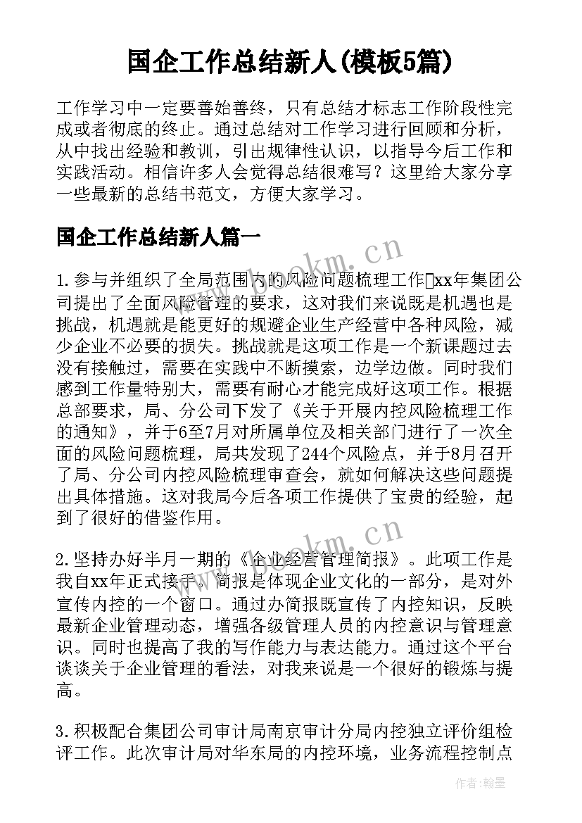 国企工作总结新人(模板5篇)