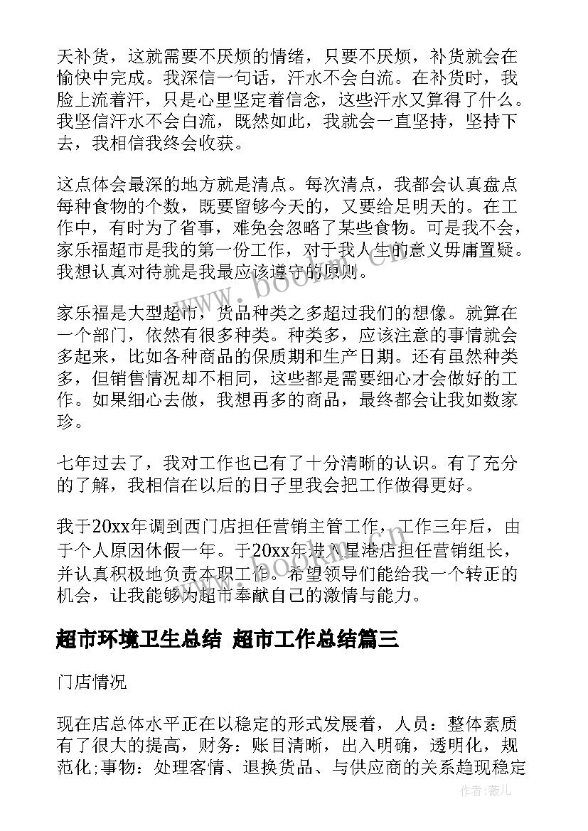 超市环境卫生总结 超市工作总结(精选5篇)