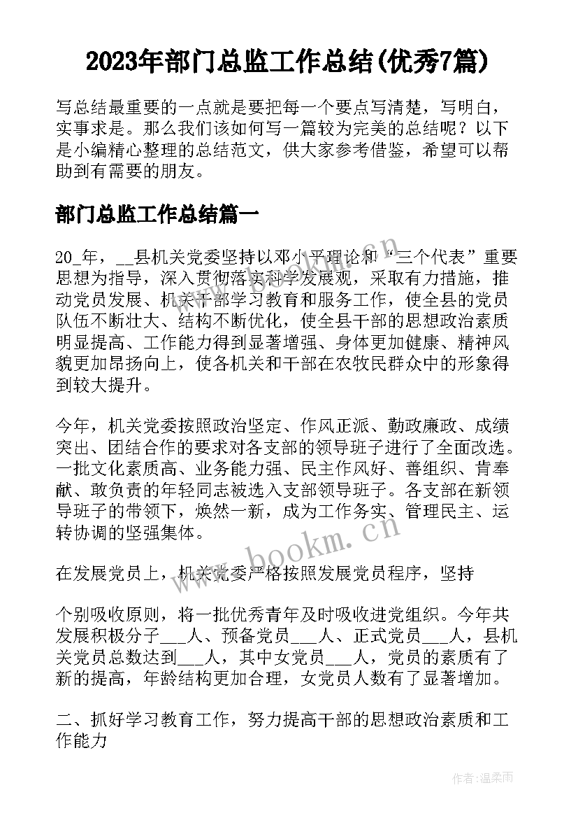 2023年部门总监工作总结(优秀7篇)