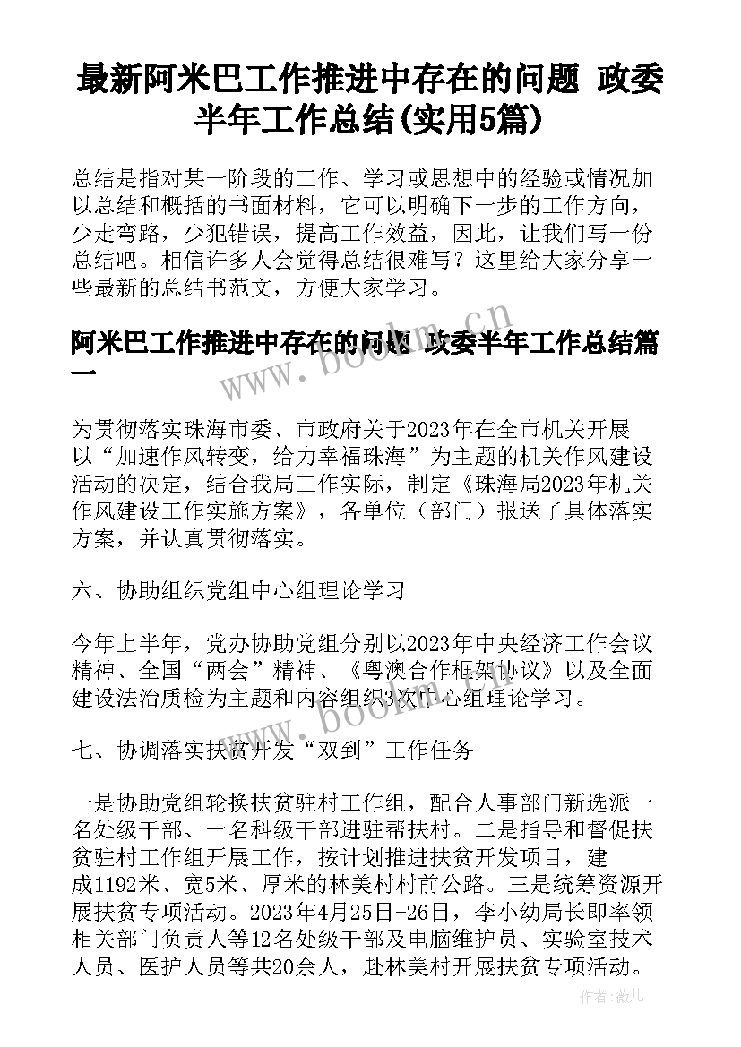 最新阿米巴工作推进中存在的问题 政委半年工作总结(实用5篇)