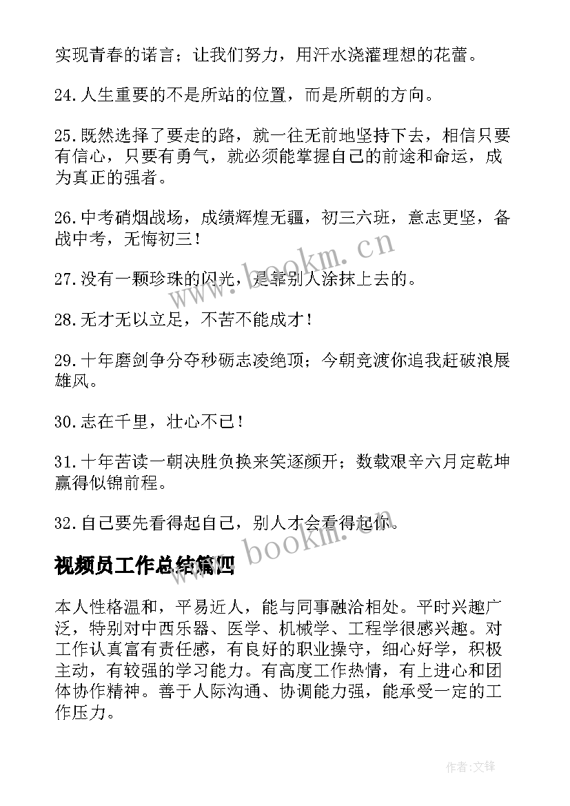 2023年视频员工作总结(优秀7篇)