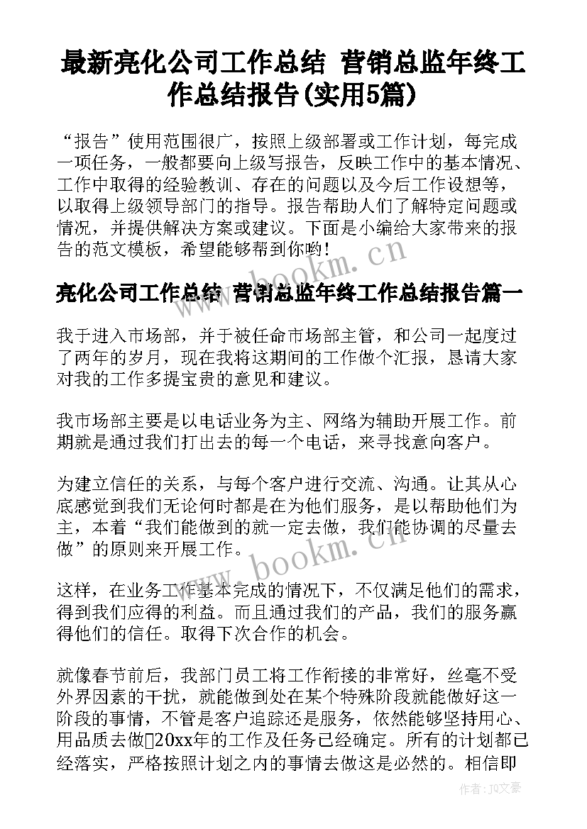 最新亮化公司工作总结 营销总监年终工作总结报告(实用5篇)