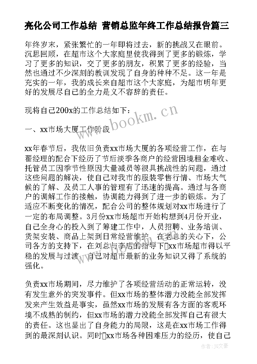 最新亮化公司工作总结 营销总监年终工作总结报告(实用5篇)