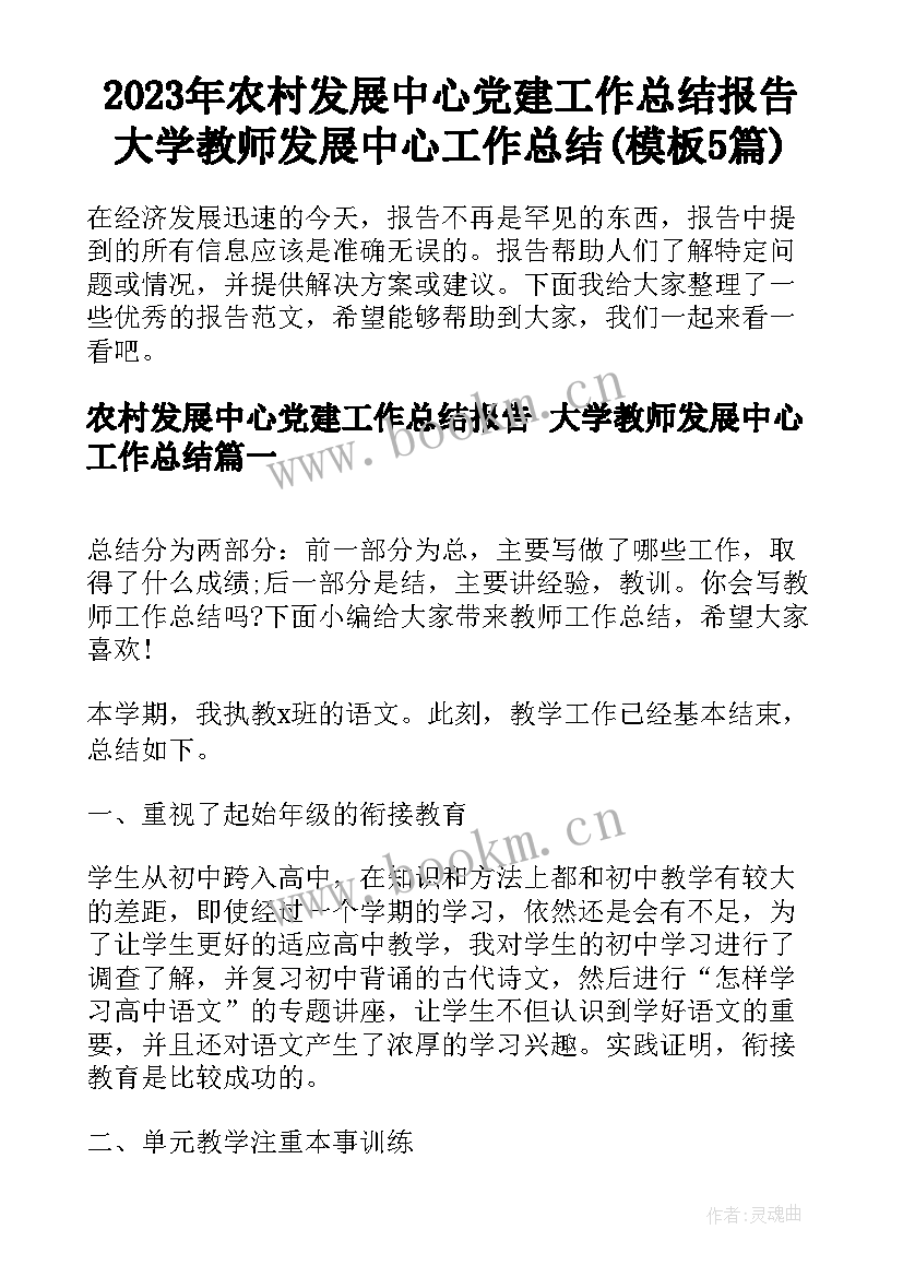 2023年农村发展中心党建工作总结报告 大学教师发展中心工作总结(模板5篇)