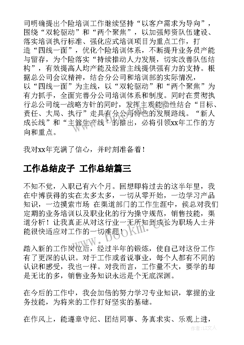 2023年工作总结皮子 工作总结(汇总5篇)