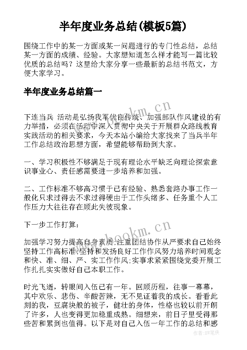 半年度业务总结(模板5篇)