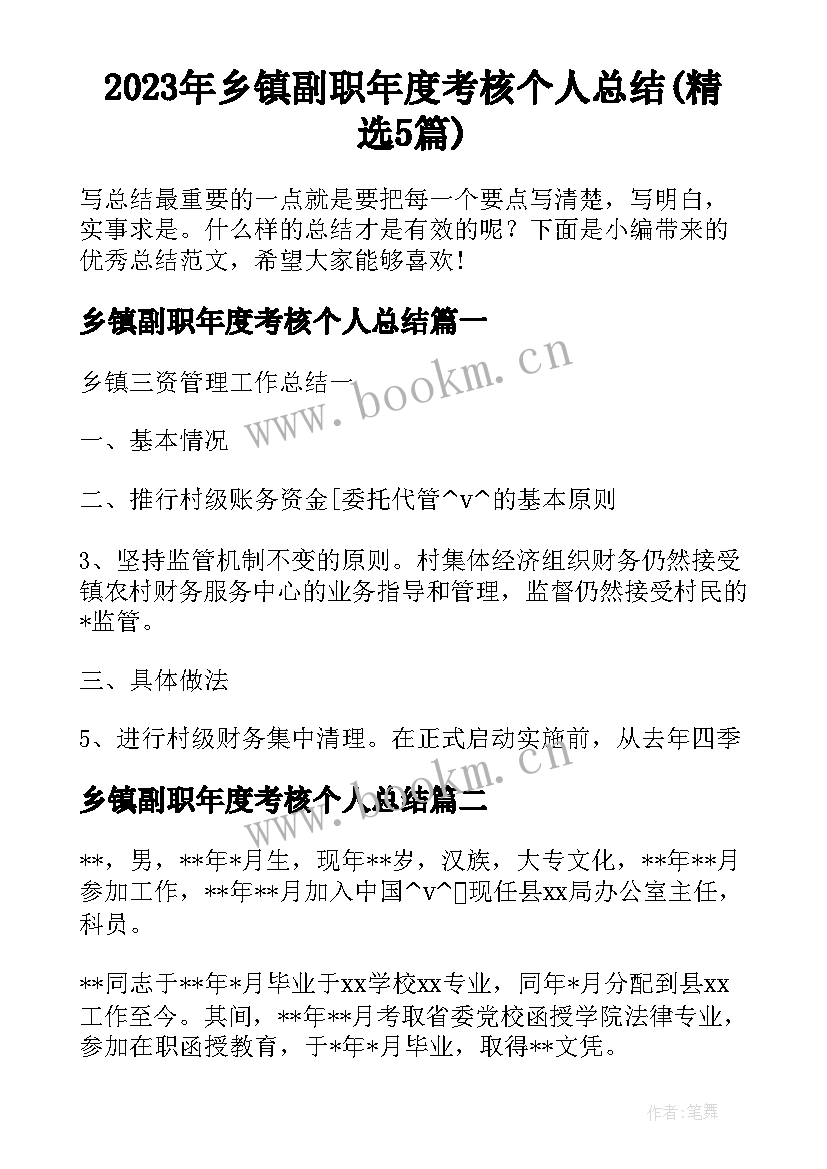 2023年乡镇副职年度考核个人总结(精选5篇)