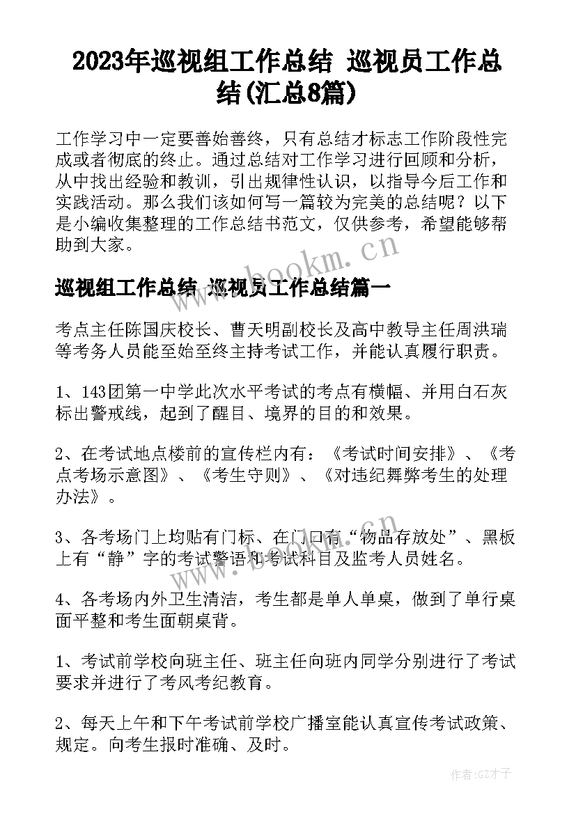 2023年巡视组工作总结 巡视员工作总结(汇总8篇)