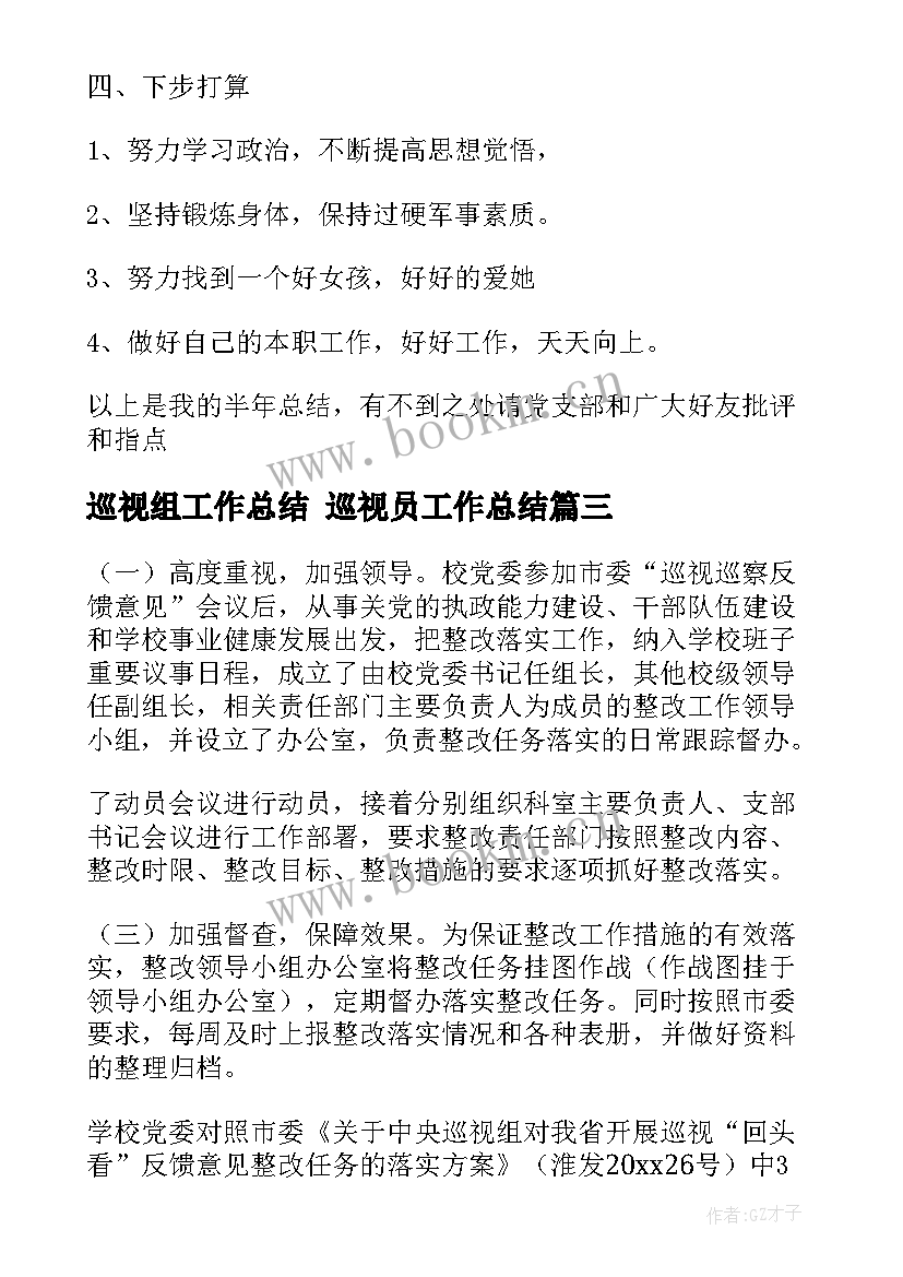 2023年巡视组工作总结 巡视员工作总结(汇总8篇)