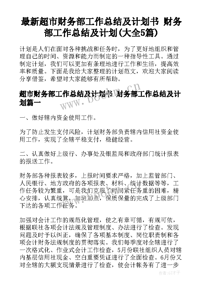 最新超市财务部工作总结及计划书 财务部工作总结及计划(大全5篇)