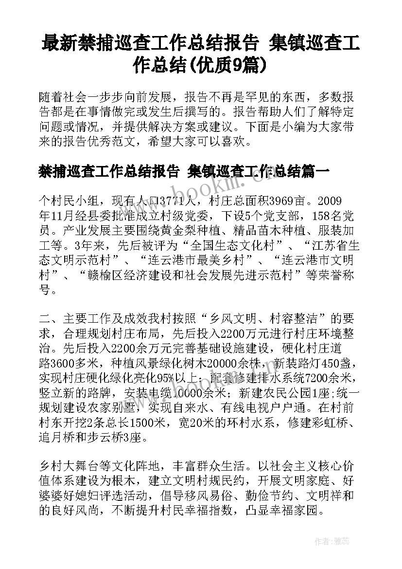 最新禁捕巡查工作总结报告 集镇巡查工作总结(优质9篇)