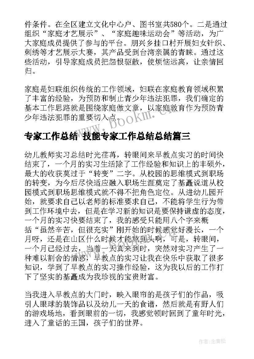 专家工作总结 技能专家工作总结总结(大全6篇)