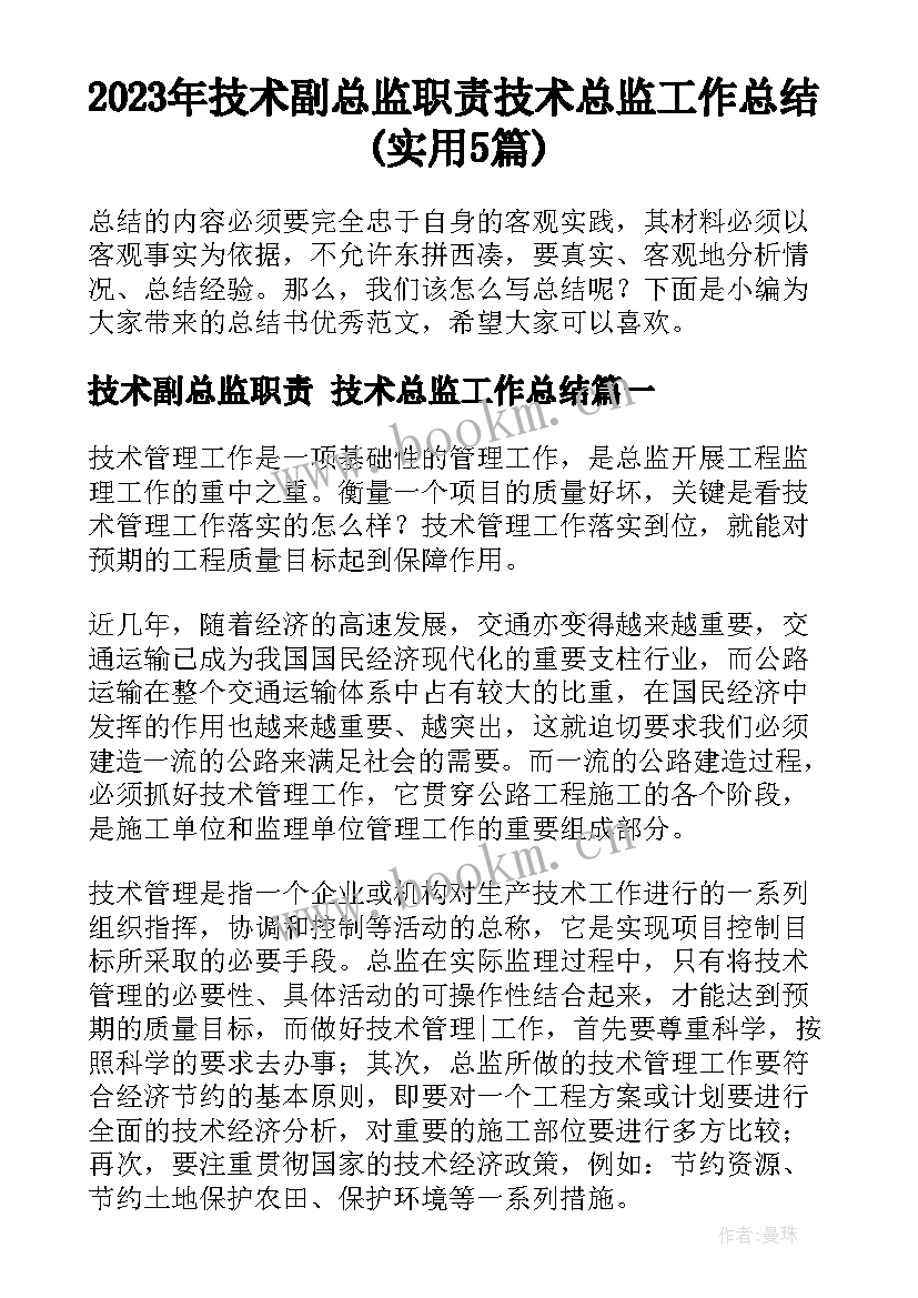 2023年技术副总监职责 技术总监工作总结(实用5篇)