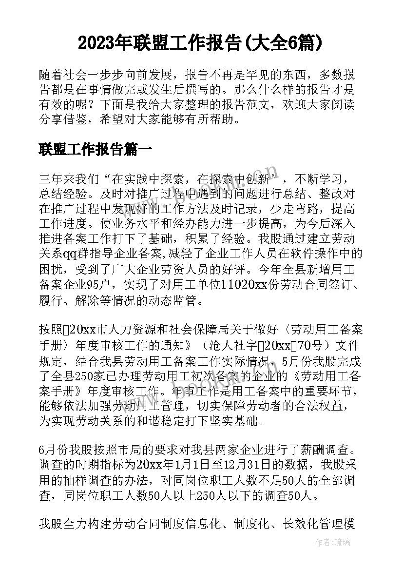 2023年联盟工作报告(大全6篇)