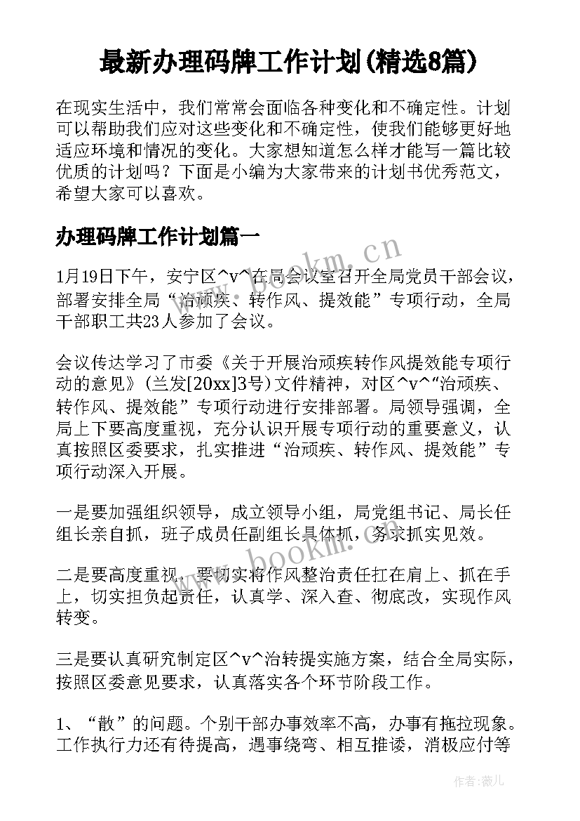 最新办理码牌工作计划(精选8篇)