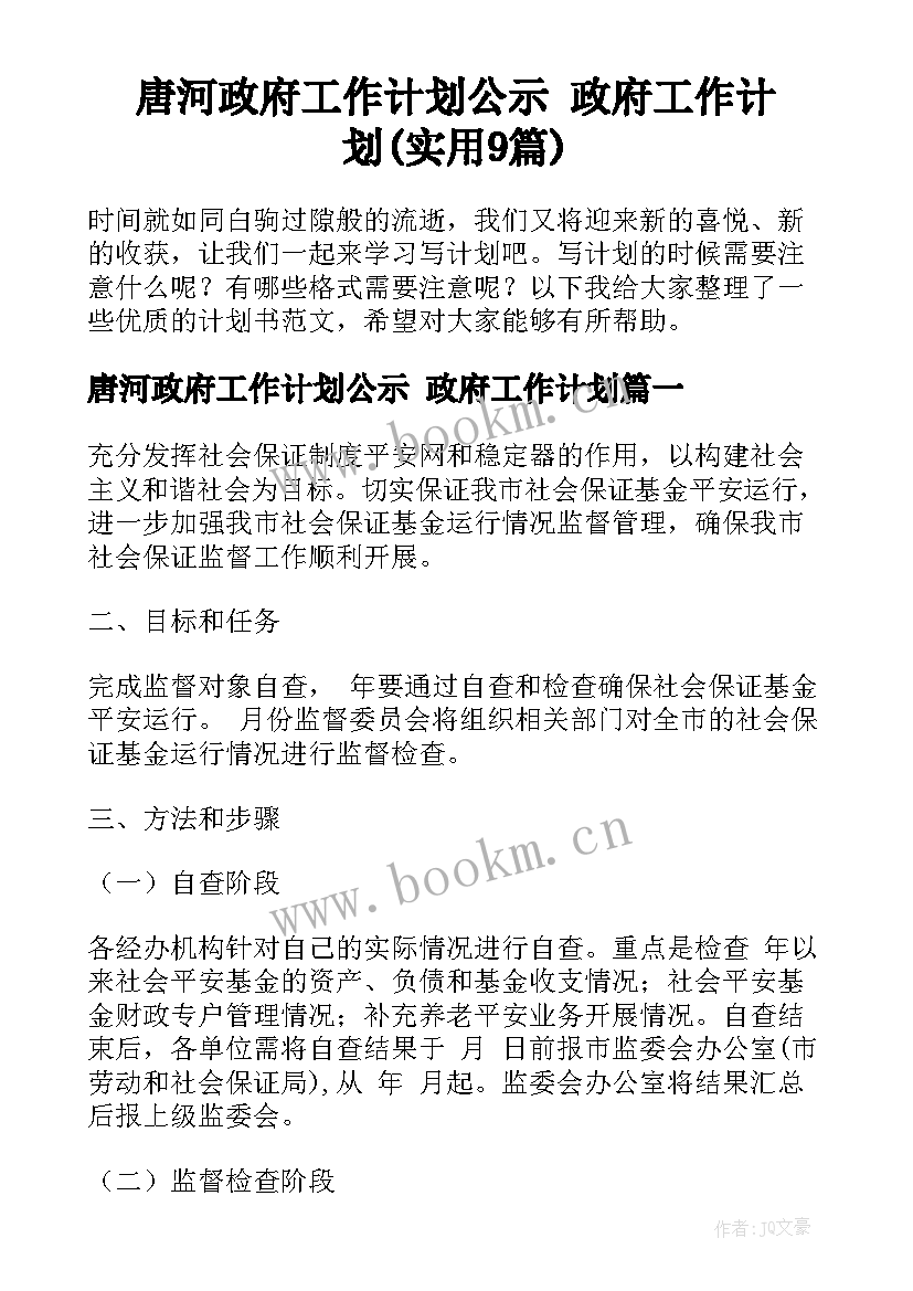 唐河政府工作计划公示 政府工作计划(实用9篇)