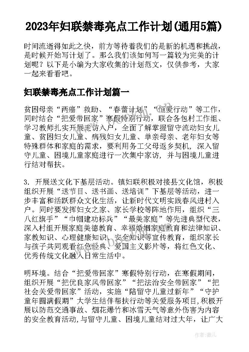 2023年妇联禁毒亮点工作计划(通用5篇)