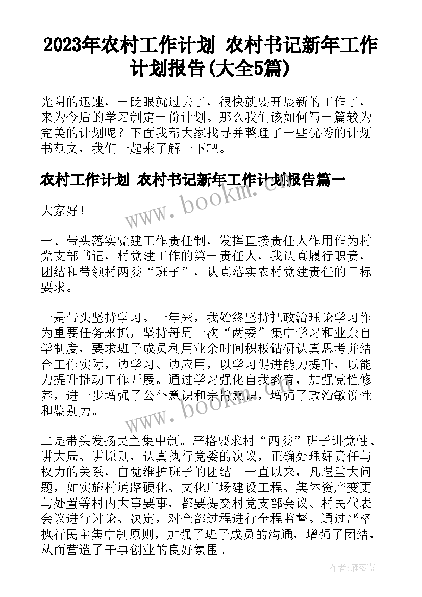 2023年农村工作计划 农村书记新年工作计划报告(大全5篇)