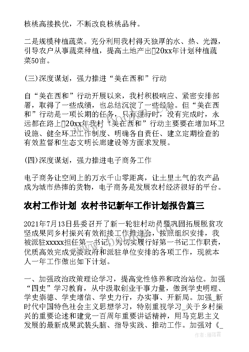 2023年农村工作计划 农村书记新年工作计划报告(大全5篇)