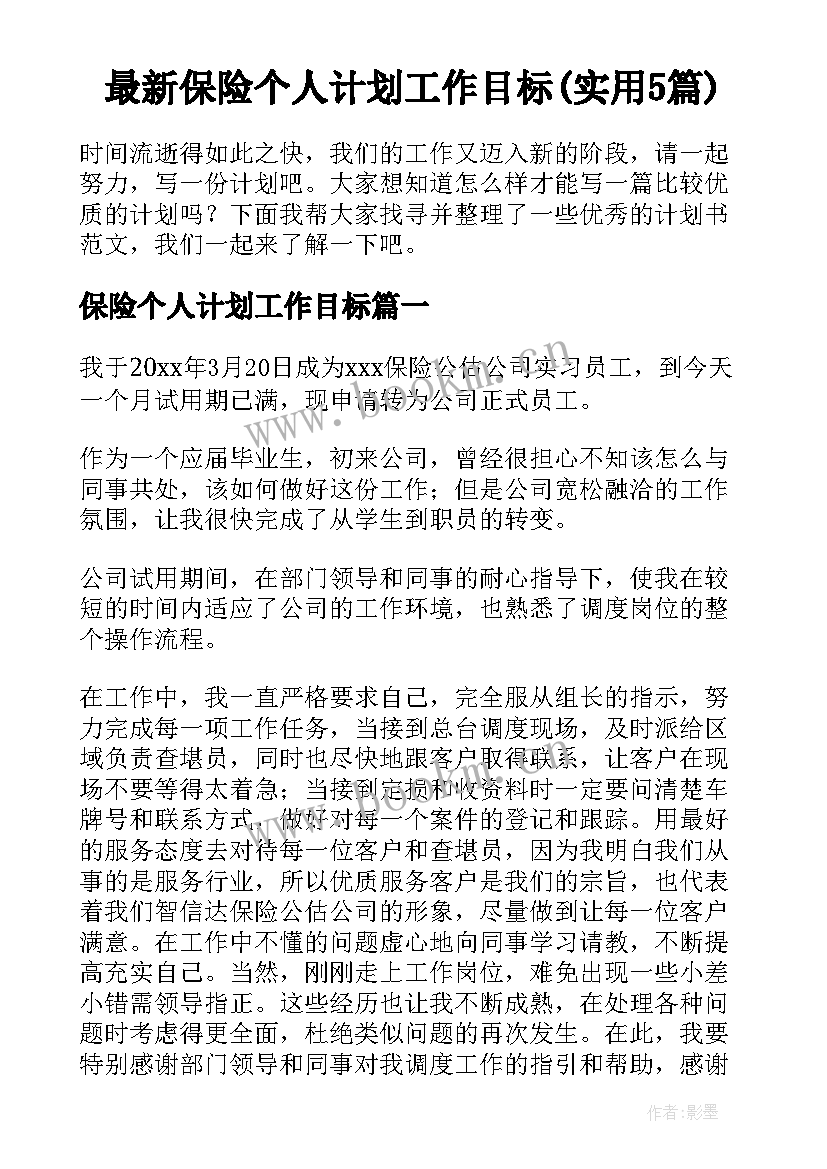 最新保险个人计划工作目标(实用5篇)