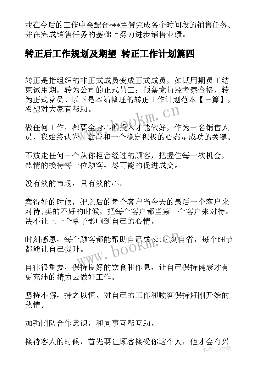 转正后工作规划及期望 转正工作计划(优质9篇)