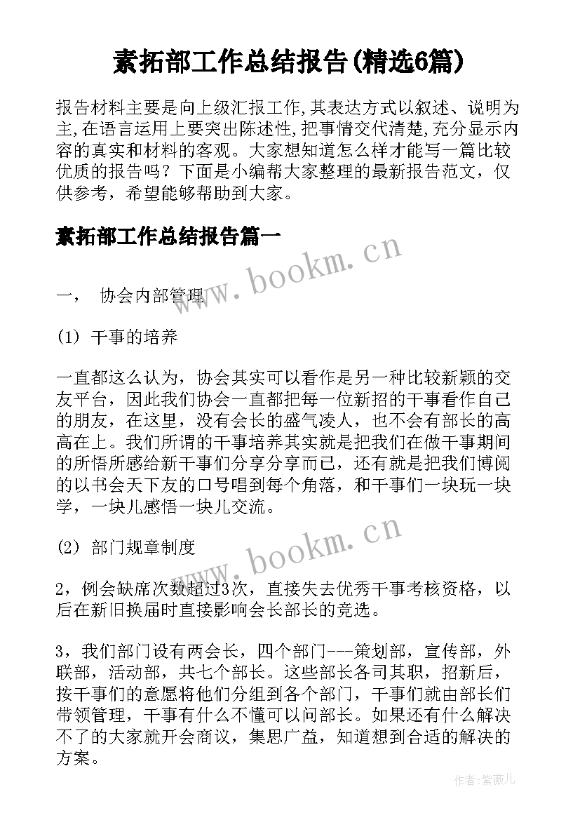 素拓部工作总结报告(精选6篇)