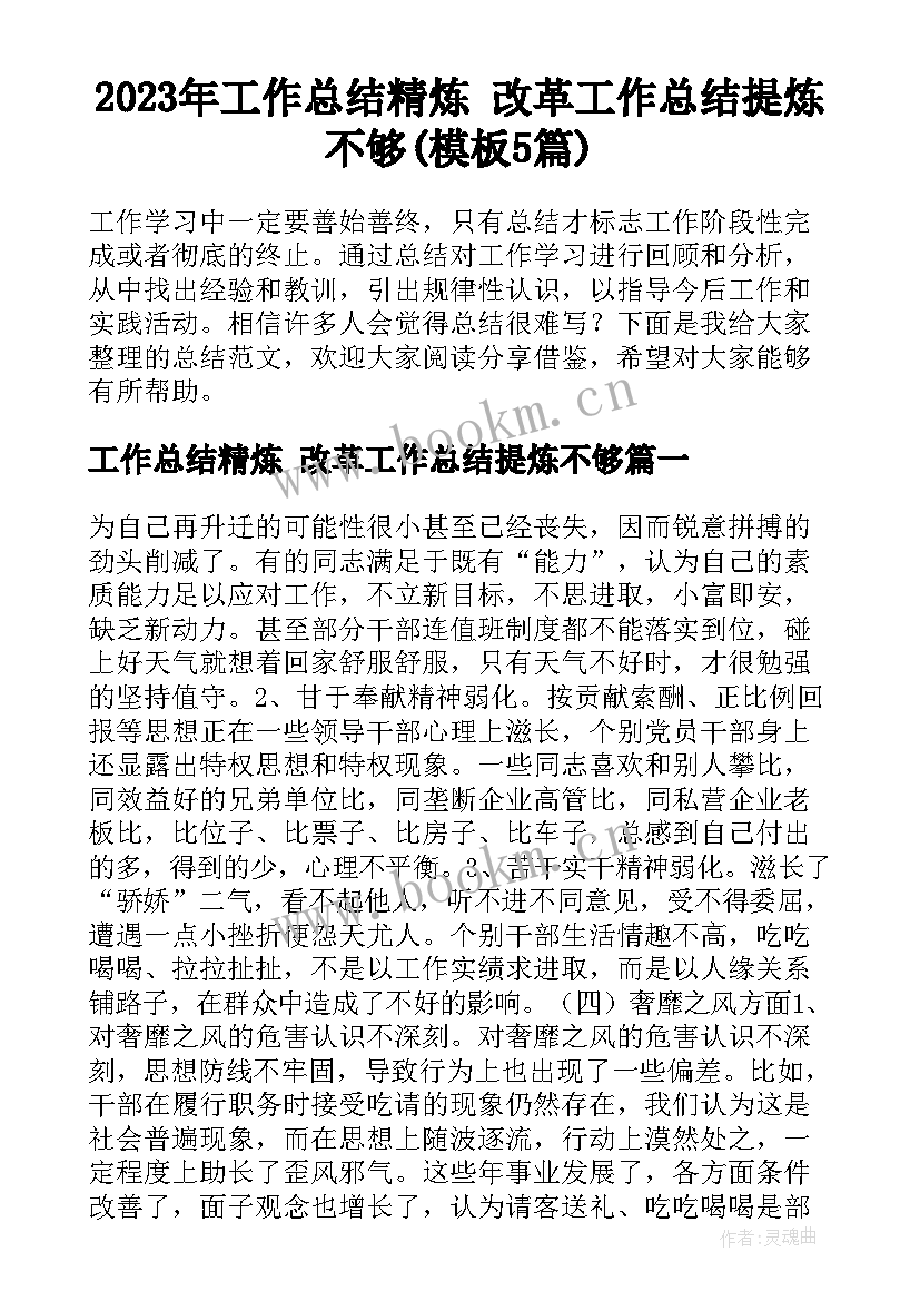 2023年工作总结精炼 改革工作总结提炼不够(模板5篇)