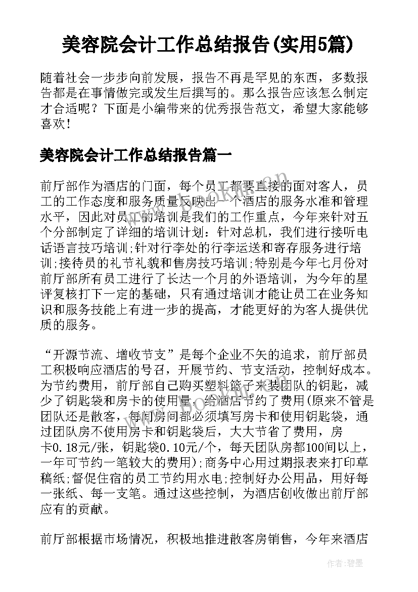 美容院会计工作总结报告(实用5篇)