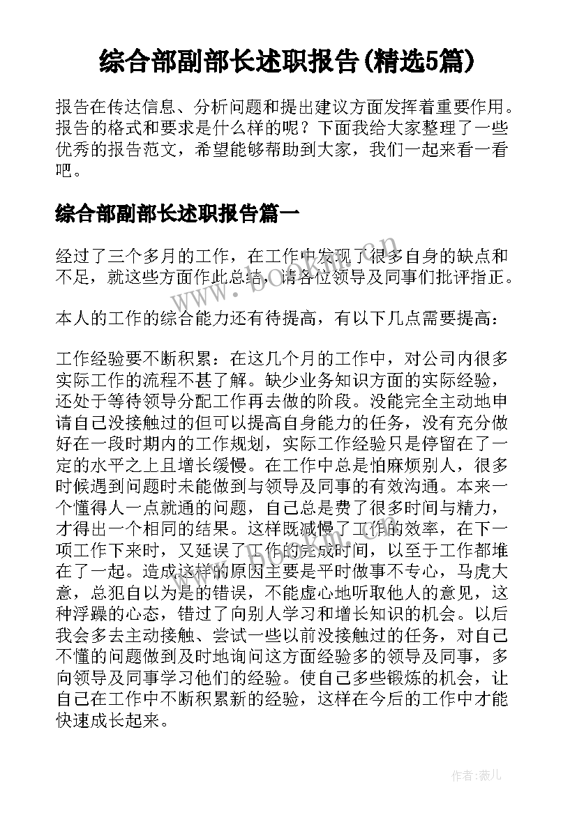 综合部副部长述职报告(精选5篇)