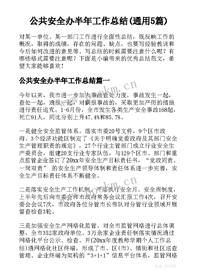 公共安全办半年工作总结(通用5篇)