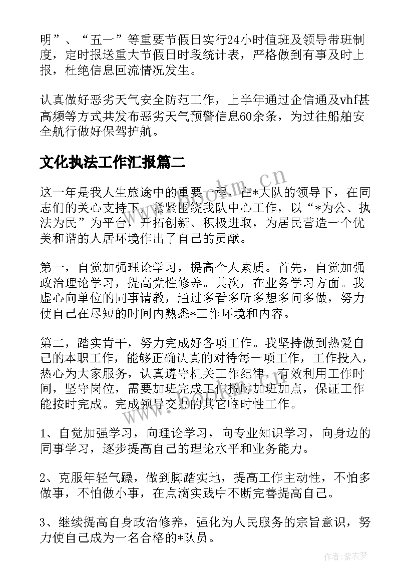 2023年文化执法工作汇报(实用10篇)