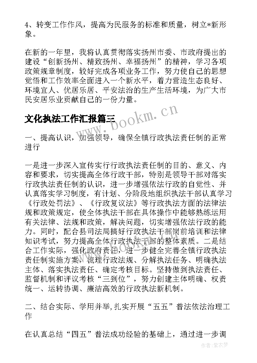 2023年文化执法工作汇报(实用10篇)