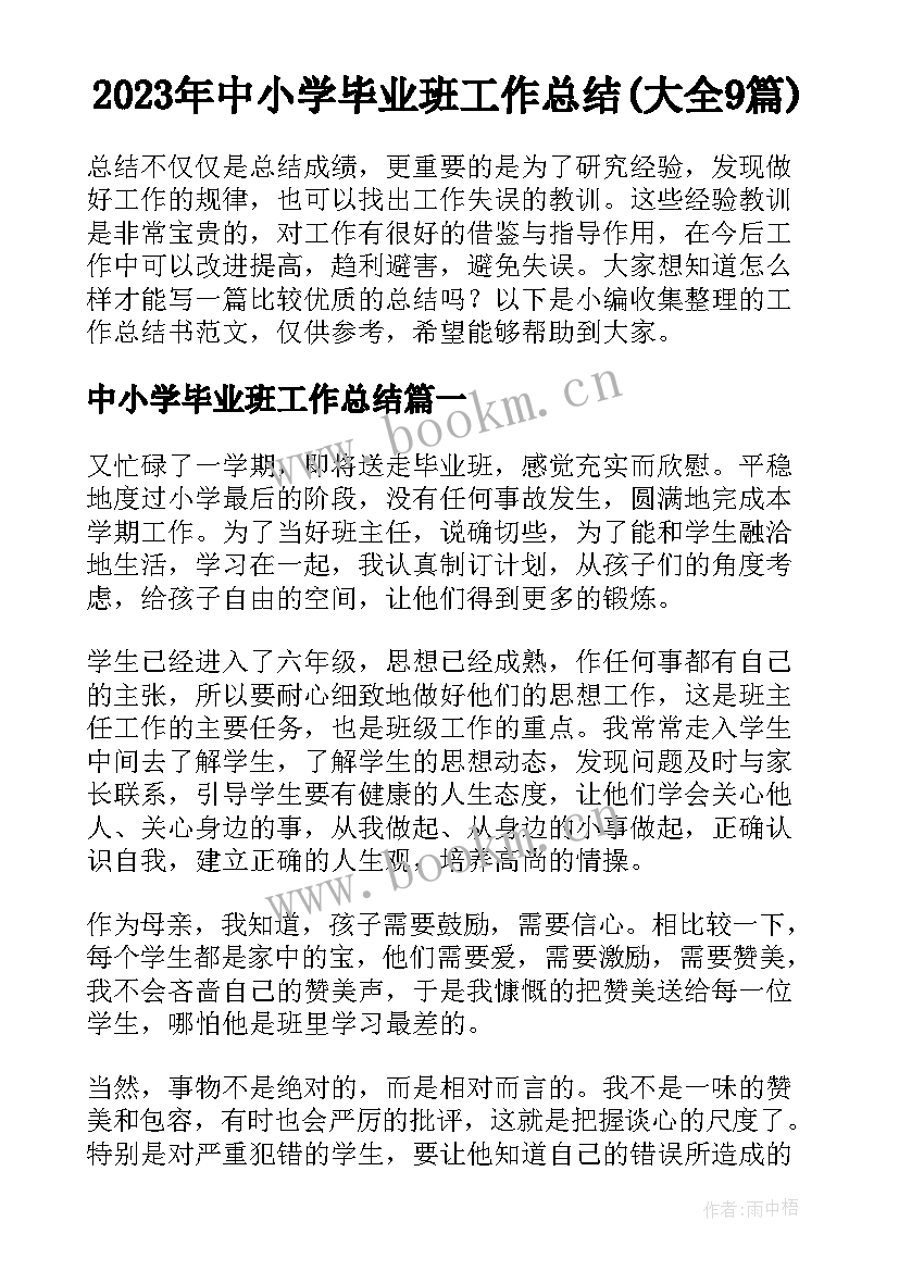 2023年中小学毕业班工作总结(大全9篇)